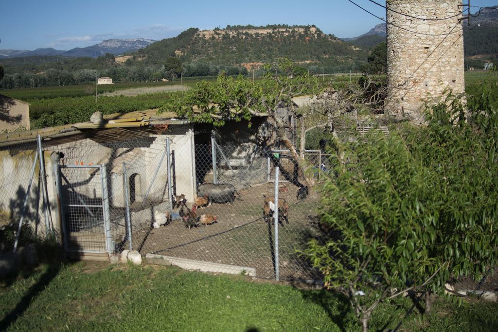 Mas Taniet Hotel Rural Benissanet Esterno foto